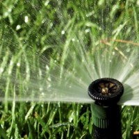 Watering Restrictions